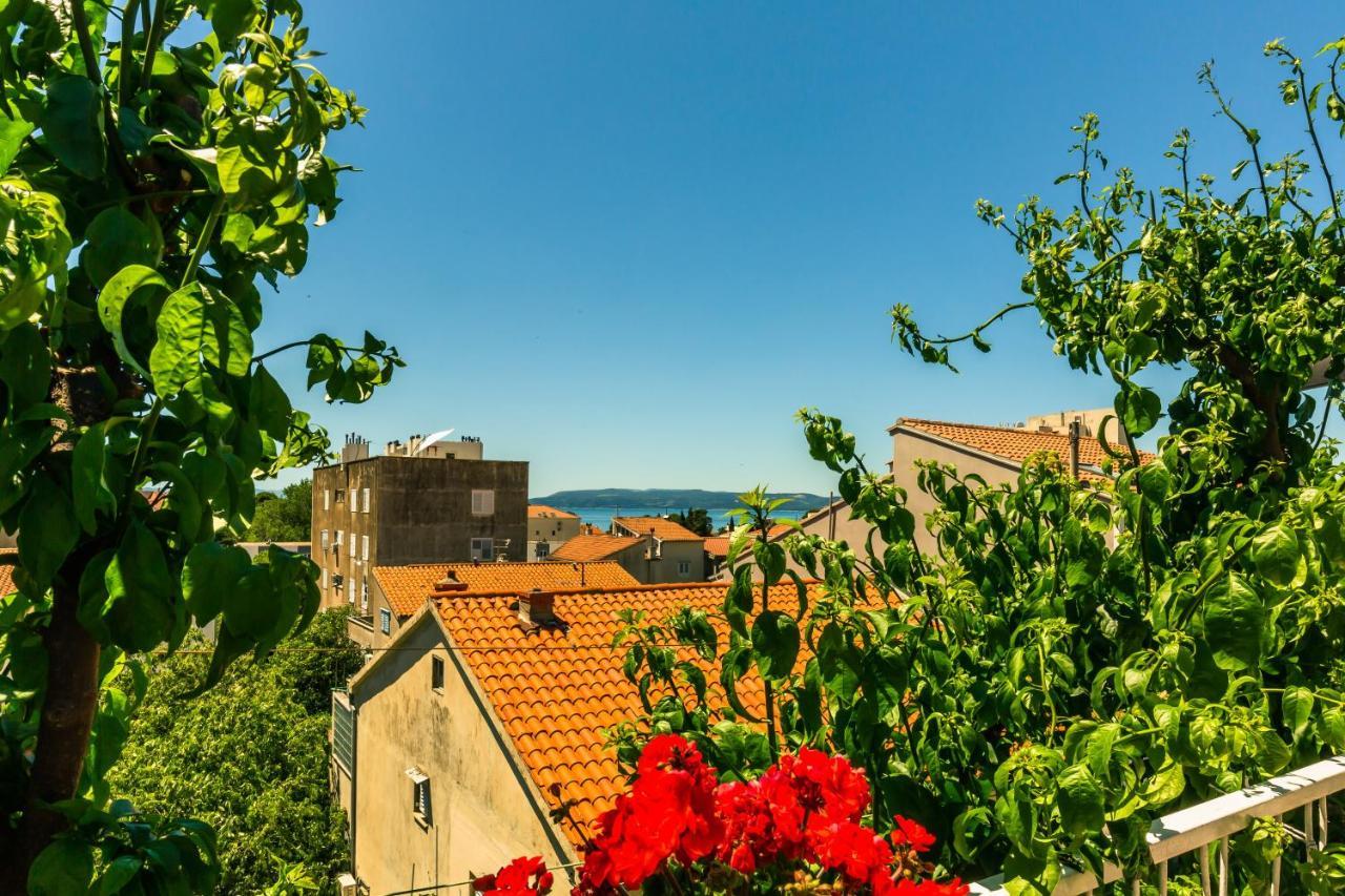 Mateljak